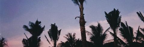 ผมชอบกินผักนะ 🥦 banner