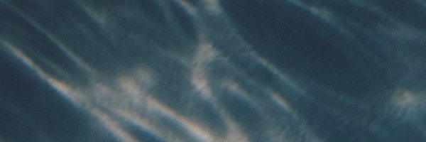 Flechazo_0218 Profile Banner