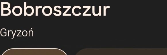 widelec w mikrofali banner