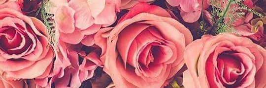 lilly_fdez's profile banner image