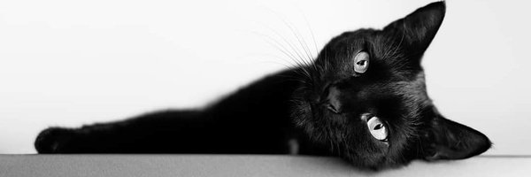 PanteritaIsBack Profile Banner