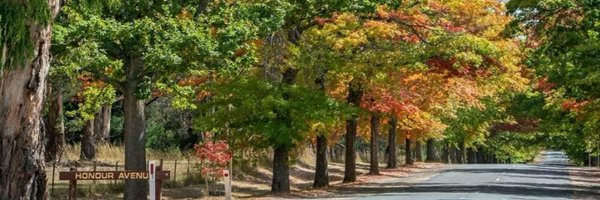 OZzeeGal Profile Banner