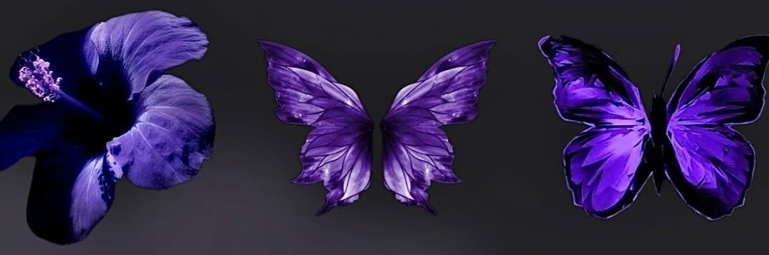 bea banner
