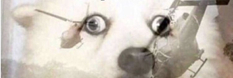 RongYuZero's profile banner image