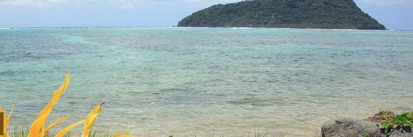 samoasids2014 Profile Banner
