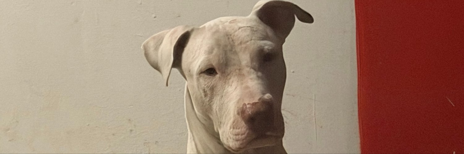 KayserKarim's profile banner image