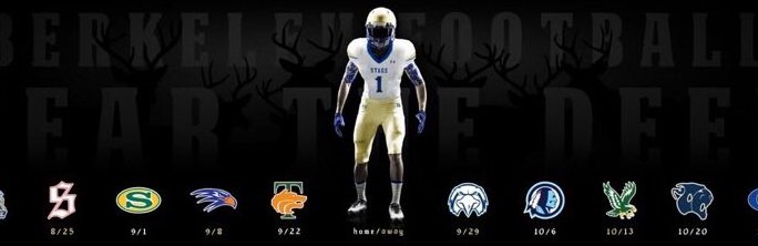 Stags Football banner