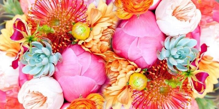 mmpeppers's profile banner image