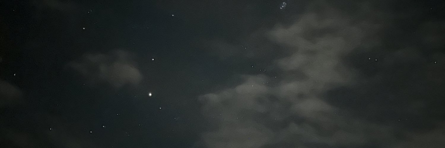 friedcheezos's profile banner image