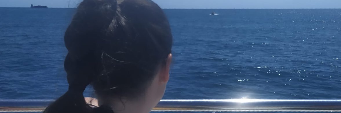Carolpeque's profile banner image