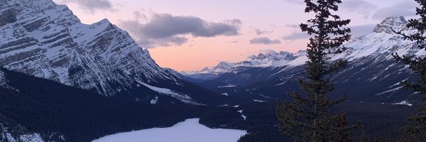 zooecocath Profile Banner