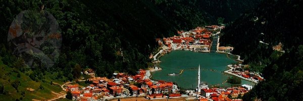 T_o_g_a_y_ Profile Banner