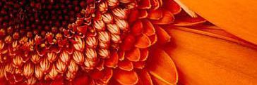 catalyst555's profile banner image