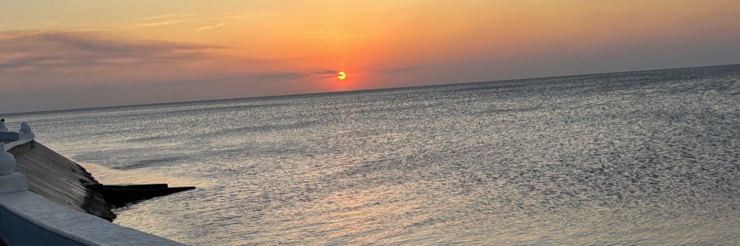 Carmen García Peña banner