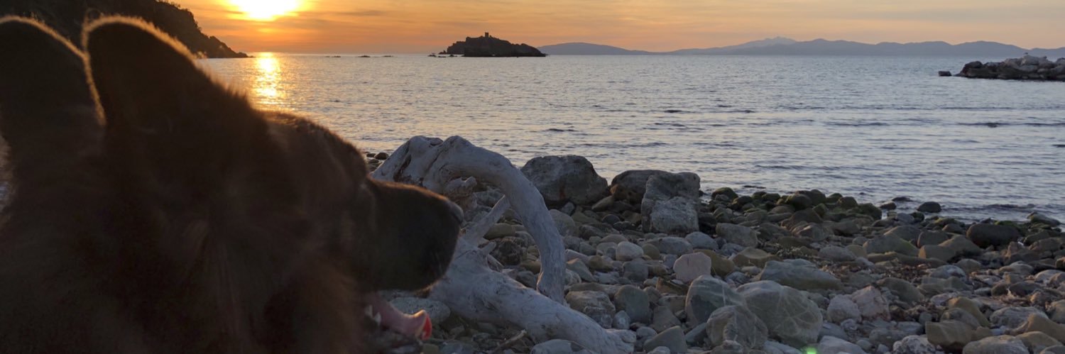 marcodeltongo's profile banner image