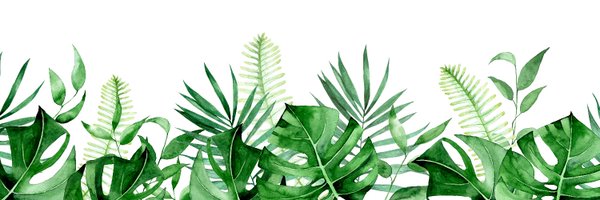 BiosR_stat Profile Banner