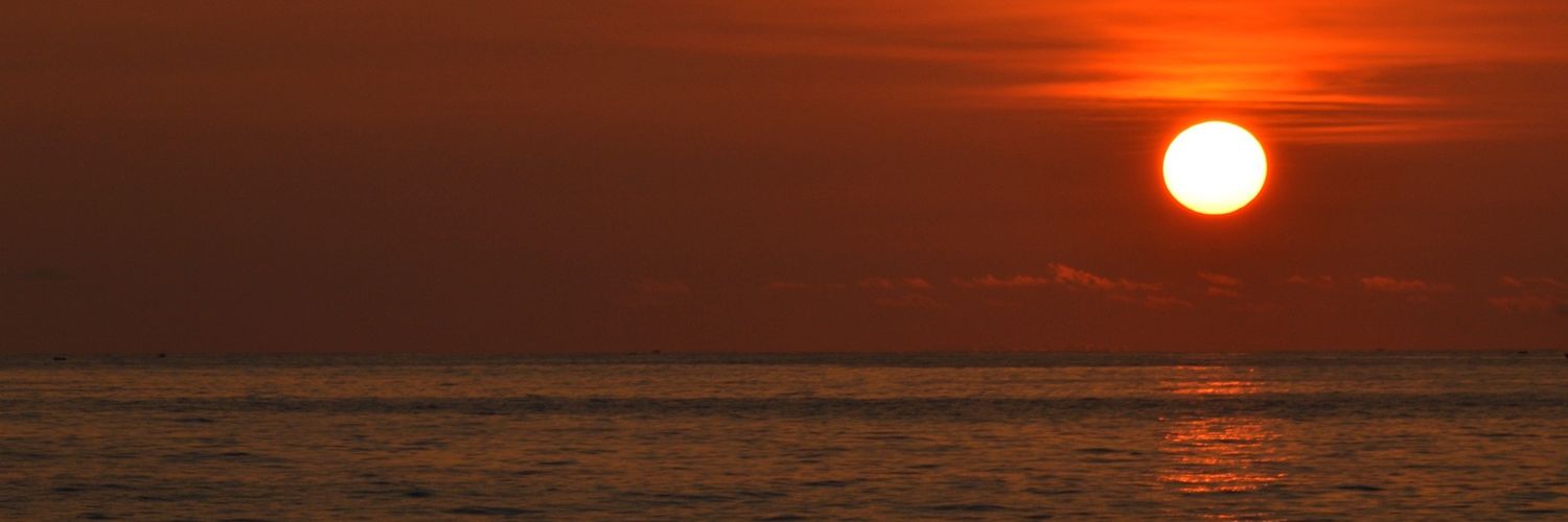 MarcelaRodrigz's profile banner image