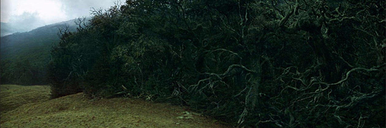 🧙‍♀️redshiftzero 🧙‍♀️ banner