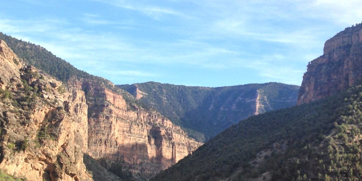 allen.robbins banner