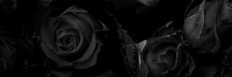 justblack1981's profile banner image