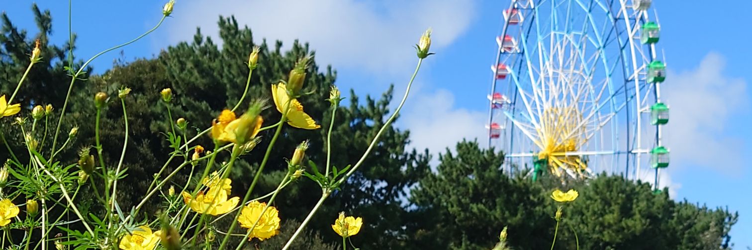 ガン さん。🌞 banner