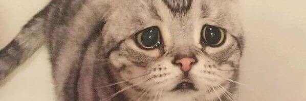 Darianaaap's profile banner image