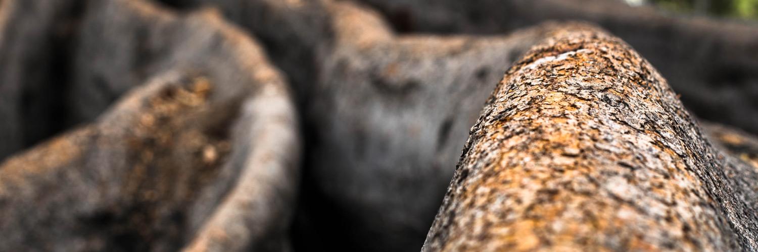 jack_klipfel's profile banner image