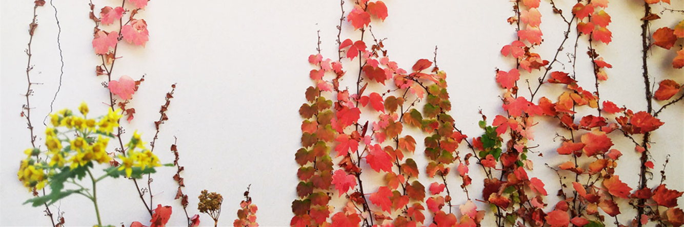 ongmeeh's profile banner image