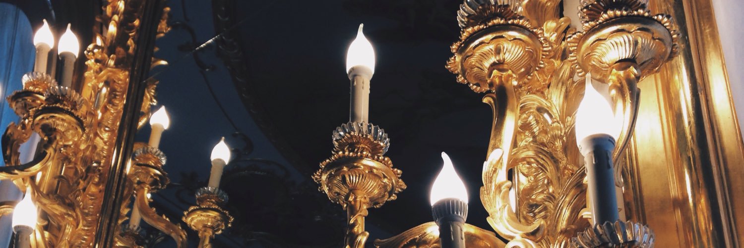 chegevarvara's profile banner image