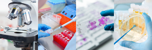 UABPathology Profile Banner