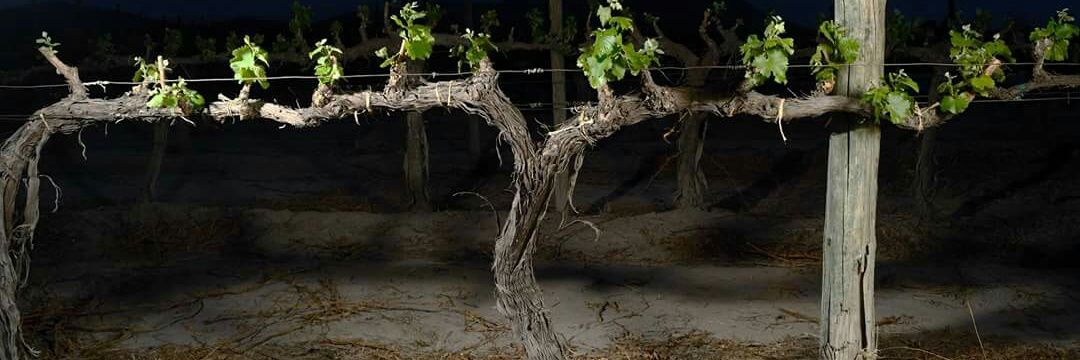 osbam76's profile banner image