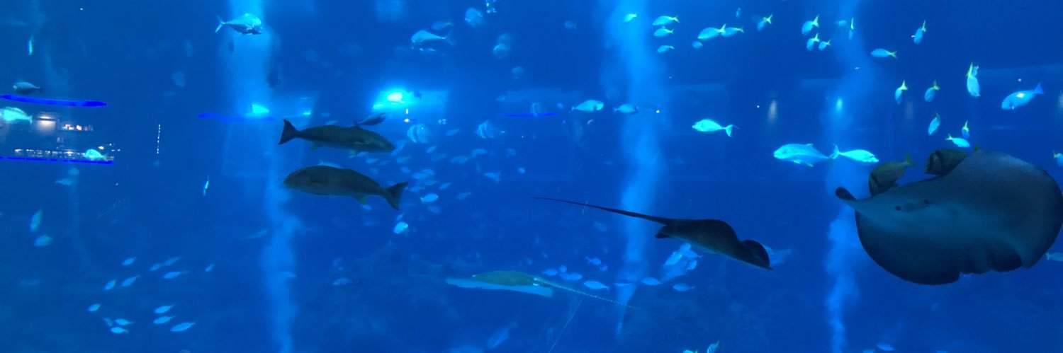 Seppo Tuominen banner