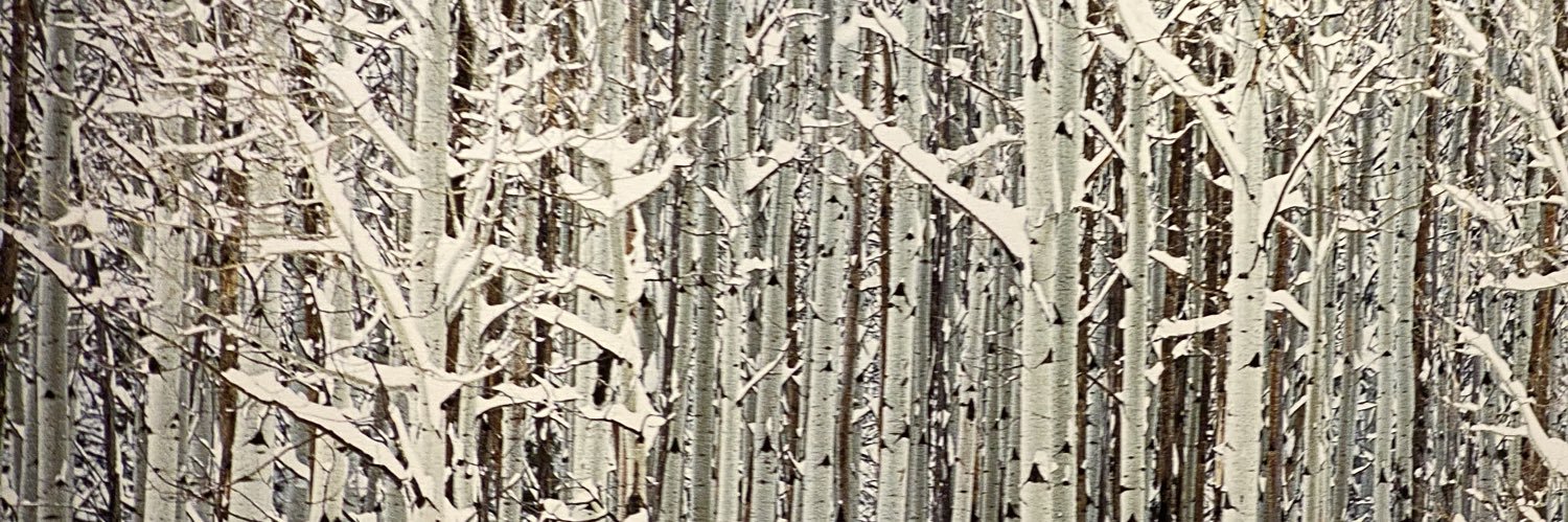 MichaelTraut's profile banner image
