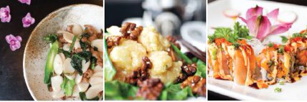 KoiEvanston Profile Banner