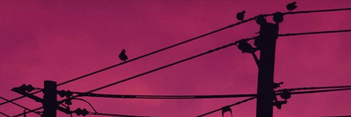 Th€ Cr¥pto-A£arm banner