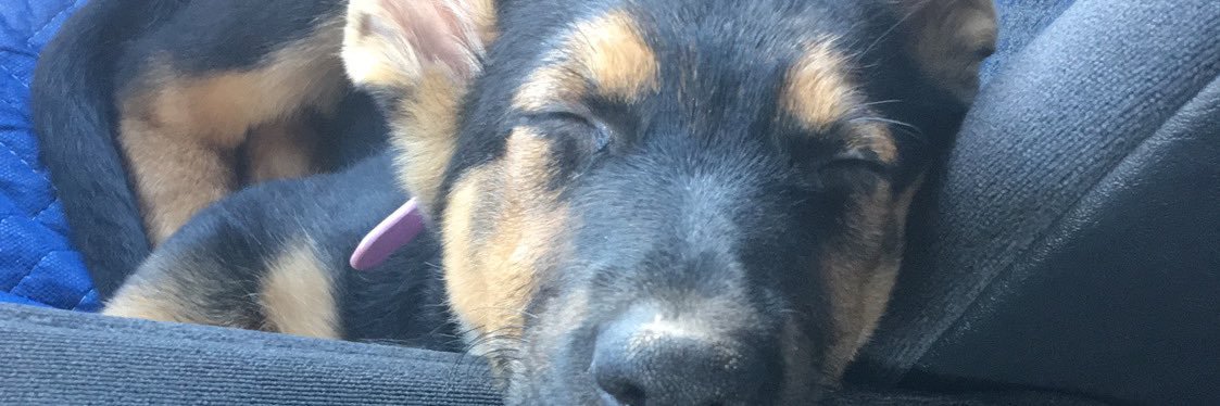 SosDenic's profile banner image