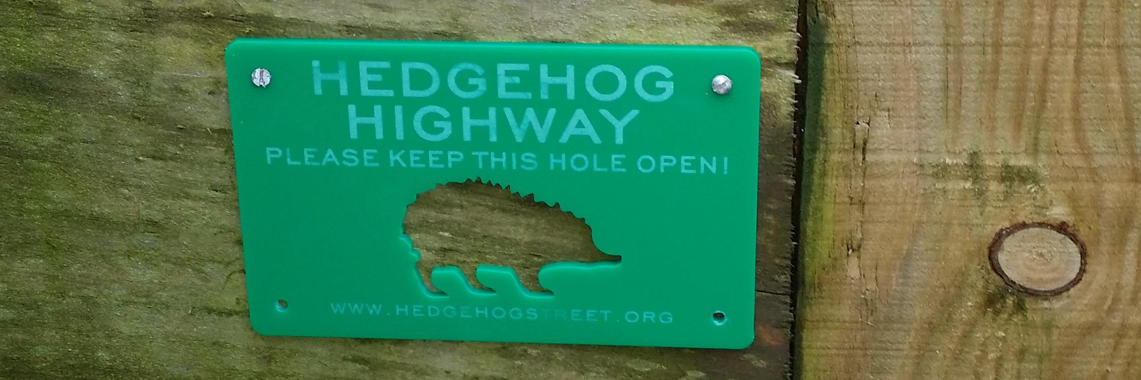 hkhedgehogs's profile banner image