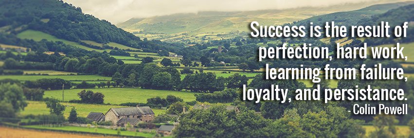 Stephen Sabatini banner