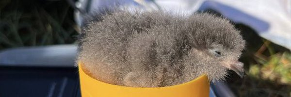 Rebeccache26 Profile Banner