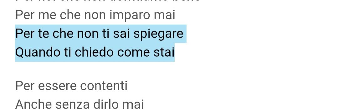 meemi💐|calcinacci banner