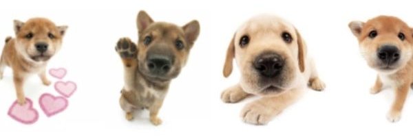 emy banner