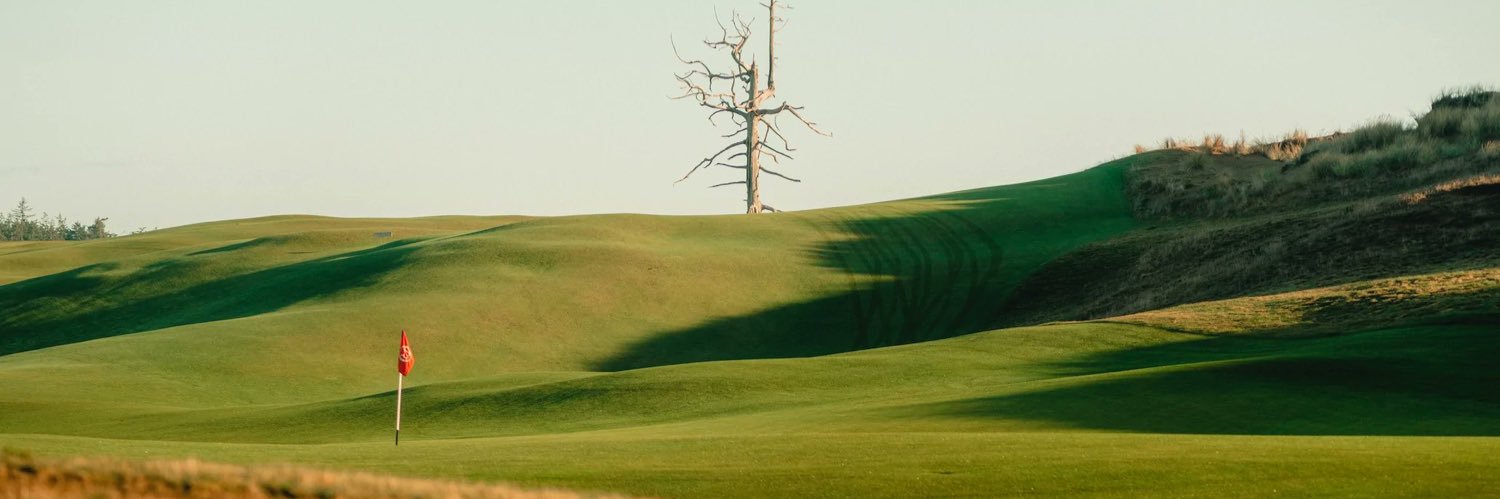 mchadwilliams's profile banner image