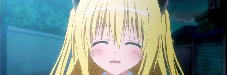 ほりりんまる banner