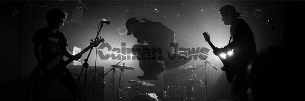 caimanjaws Profile Banner