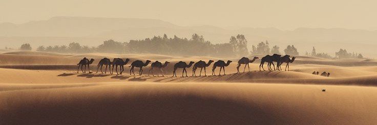 شهزان banner