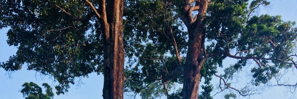 anilkrt100's profile banner image