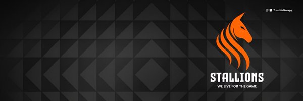 TeamStallionsgg Profile Banner