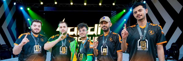 TeamStallionsgg Profile Banner