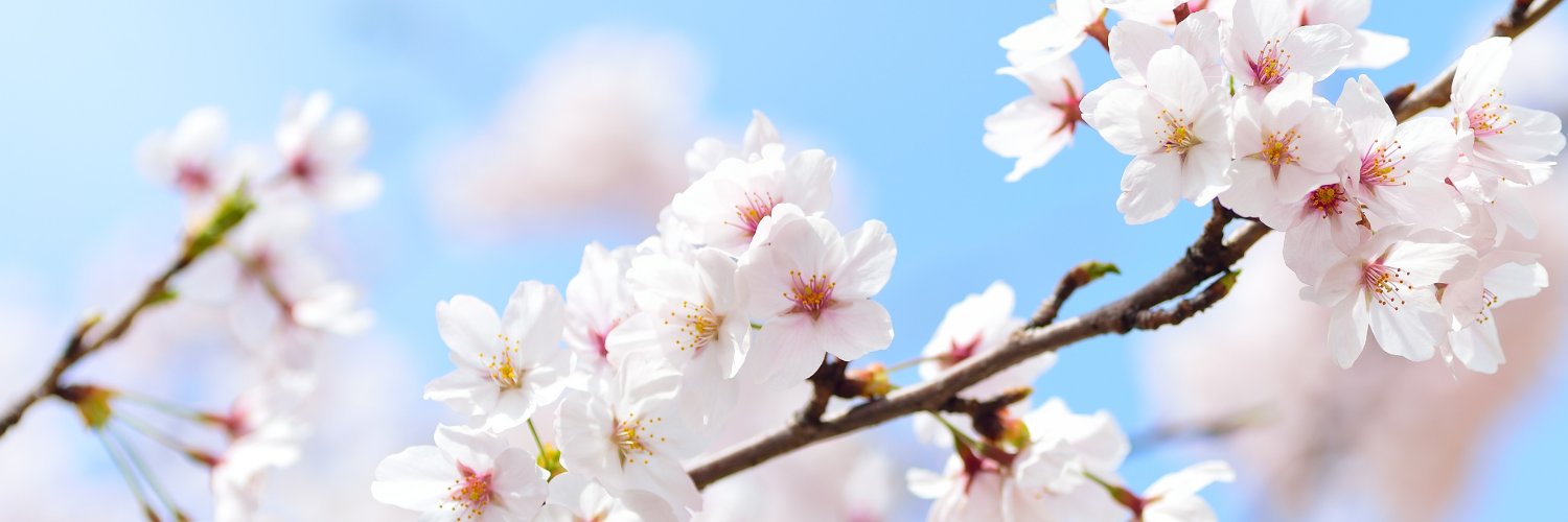 Thomas Nelson banner