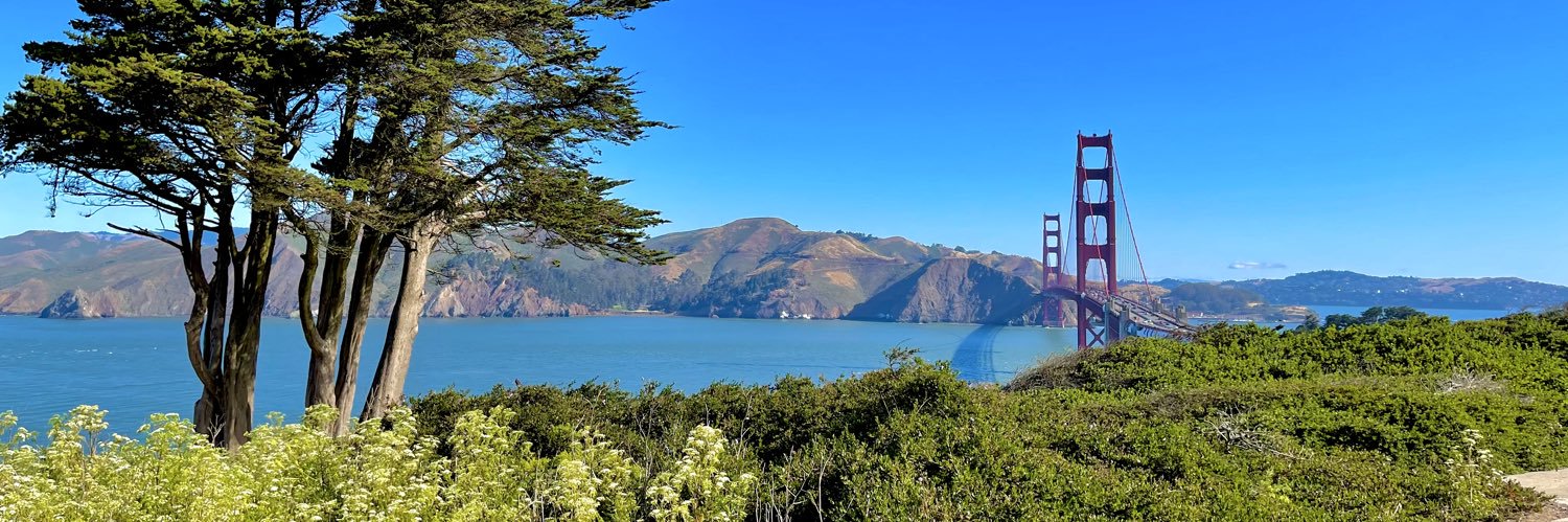 Brandon Witcher banner